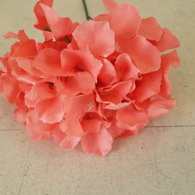 ramillete de hortensias